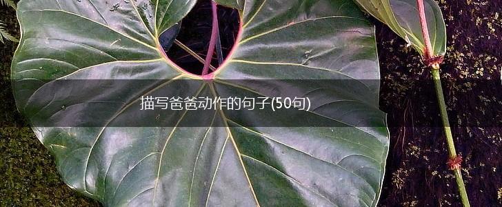 描写爸爸动作的句子(50句),第1张