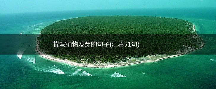描写植物发芽的句子(汇总51句),第1张
