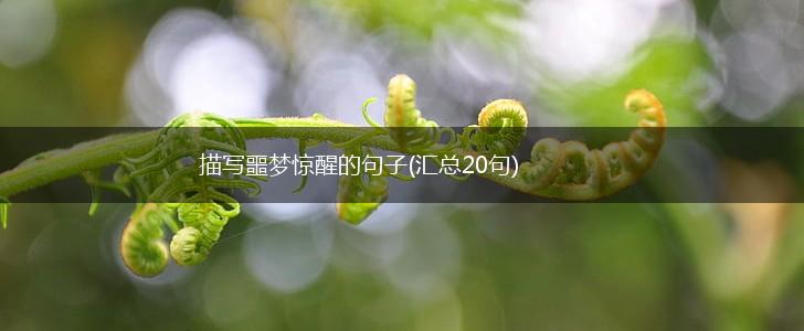 描写噩梦惊醒的句子(汇总20句),第1张
