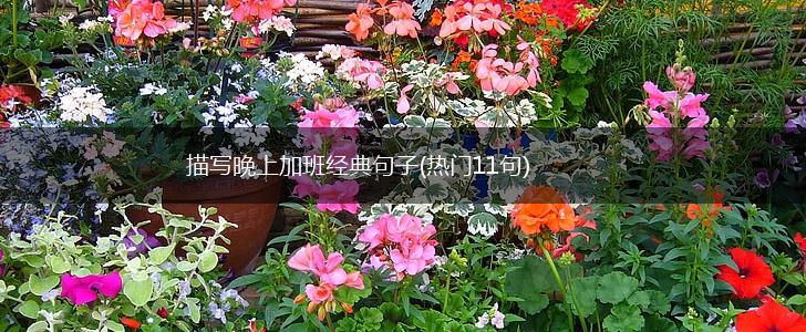 描写晚上加班经典句子(热门11句),第1张 描写晚上加班经典句子(热门11句),第1张