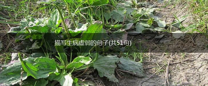 描写生病虚弱的句子(共51句),第1张 描写生病虚弱的句子(共51句),第1张