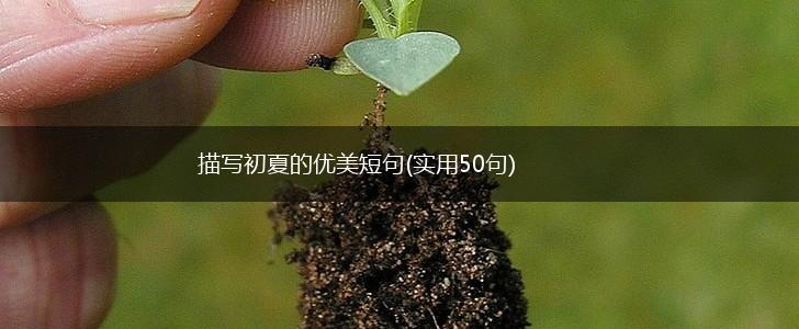 描写初夏的优美短句(实用50句),第1张