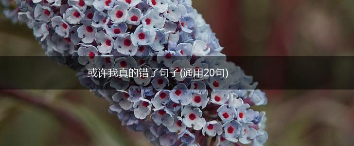 或许我真的错了句子(通用20句),第1张 或许我真的错了句子(通用20句),第1张