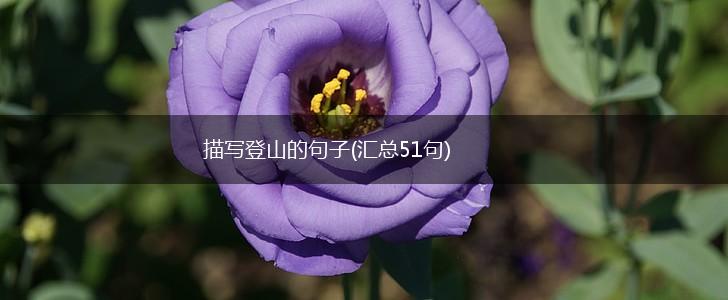 描写登山的句子(汇总51句),第1张 描写登山的句子(汇总51句),第1张