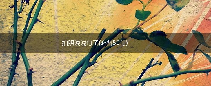 拍照说说句子(必备50句),第1张