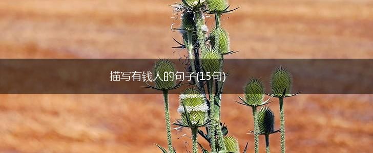 描写有钱人的句子(15句),第1张