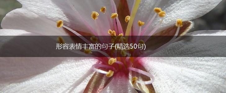形容表情丰富的句子(精选50句),第1张