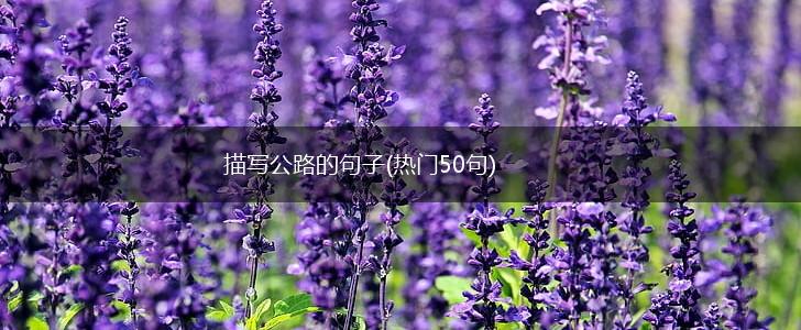 描写公路的句子(热门50句),第1张