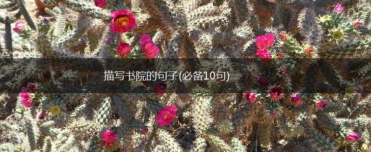 描写书院的句子(必备10句),第1张