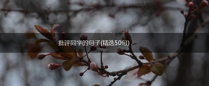 批评同学的句子(精选50句),第1张