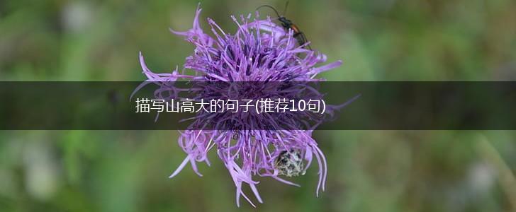 描写山高大的句子(推荐10句),第1张