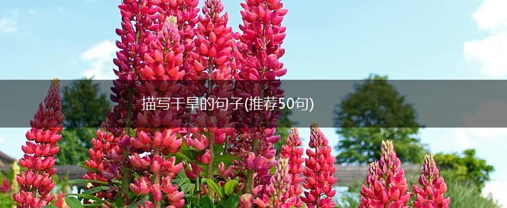 描写干旱的句子(推荐50句),第1张