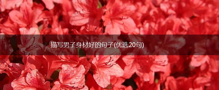 描写男子身材好的句子(优选20句),第1张