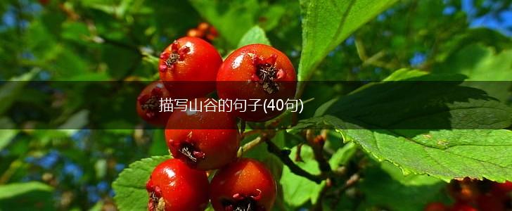 描写山谷的句子(40句),第1张