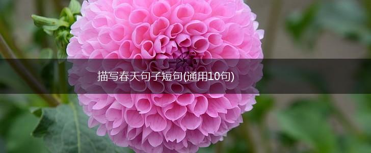 描写春天句子短句(通用10句),第1张