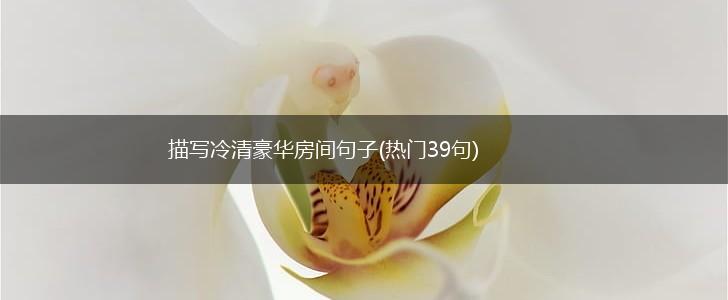 描写冷清豪华房间句子(热门39句),第1张