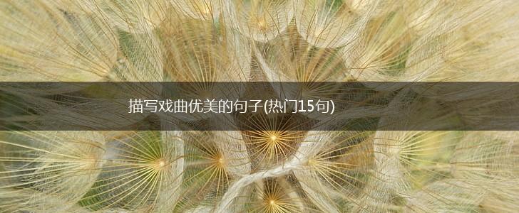 描写戏曲优美的句子(热门15句),第1张