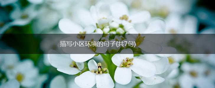 描写小区环境的句子(共7句),第1张