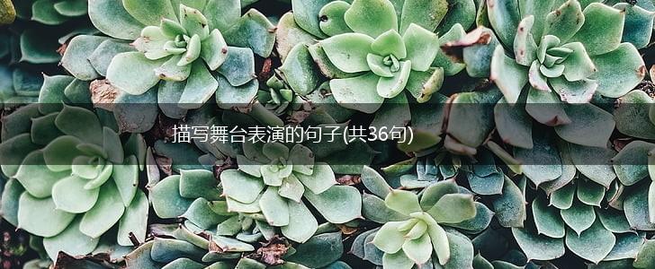 描写舞台表演的句子(共36句),第1张