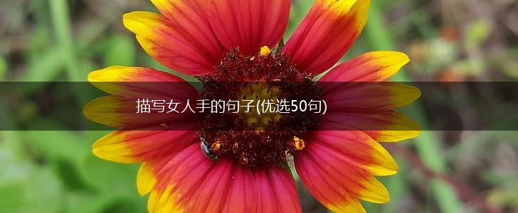 描写女人手的句子(优选50句),第1张