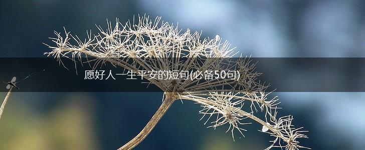 愿好人一生平安的短句(必备50句),第1张