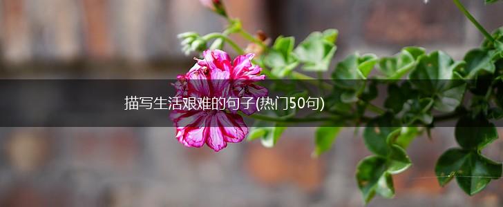 描写生活艰难的句子(热门50句),第1张