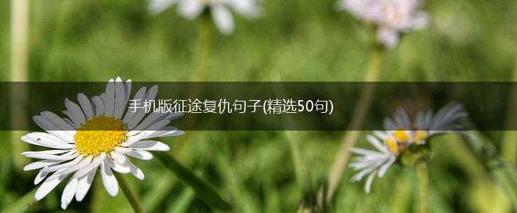 手机版征途复仇句子(精选50句),第1张