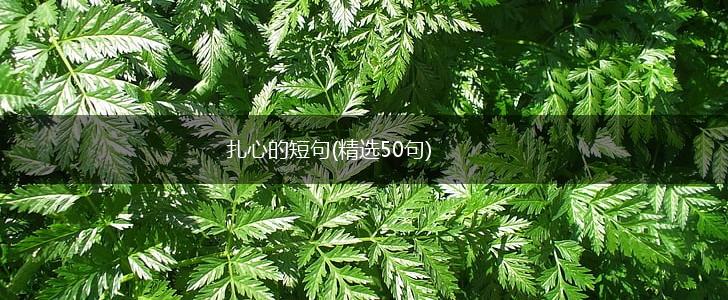 扎心的短句(精选50句),第1张