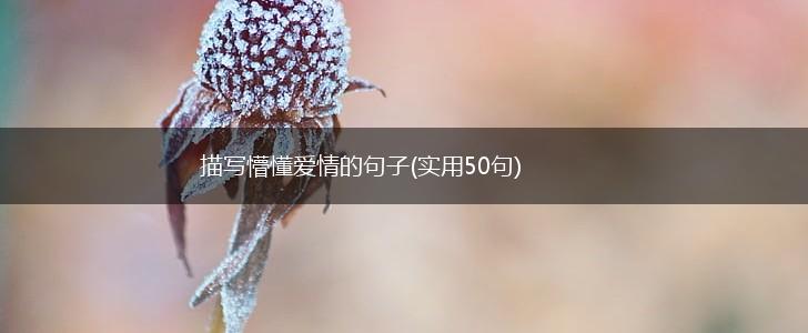 描写懵懂爱情的句子(实用50句),第1张