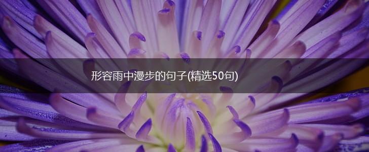 形容雨中漫步的句子(精选50句),第1张