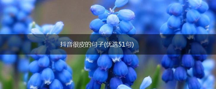 抖音很皮的句子(优选51句),第1张