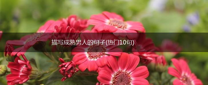 描写成熟男人的句子(热门10句),第1张 描写成熟男人的句子(热门10句),第1张