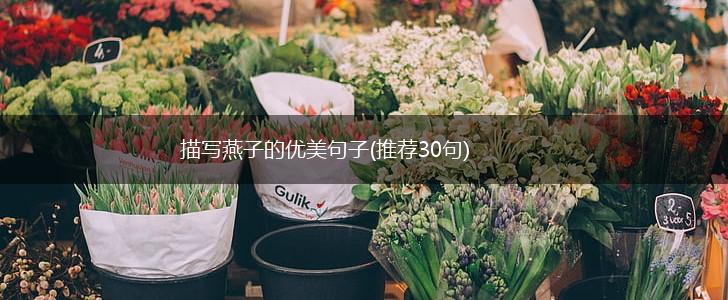 描写燕子的优美句子(推荐30句),第1张