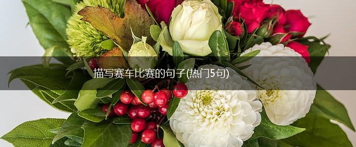 描写赛车比赛的句子(热门5句),第1张