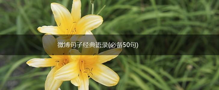 微博句子经典语录(必备50句),第1张