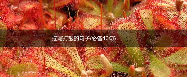 描写打鼓的句子(必备40句),第1张