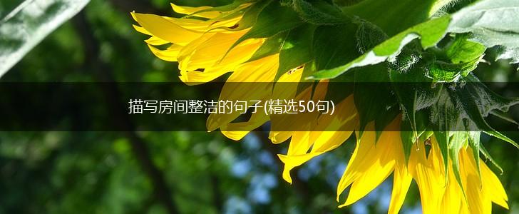 描写房间整洁的句子(精选50句),第1张