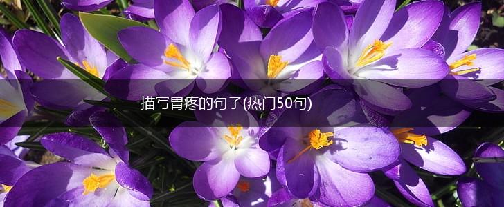 描写胃疼的句子(热门50句),第1张 描写胃疼的句子(热门50句),第1张