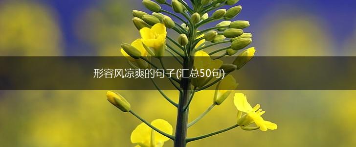 形容风凉爽的句子(汇总50句),第1张