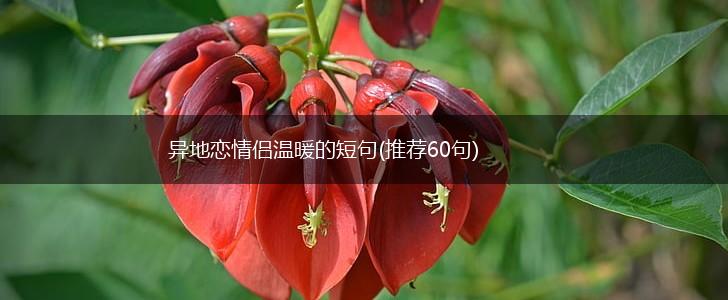 异地恋情侣温暖的短句(推荐60句),第1张