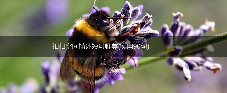 扣扣空间描述短句唯美(实用90句),第1张