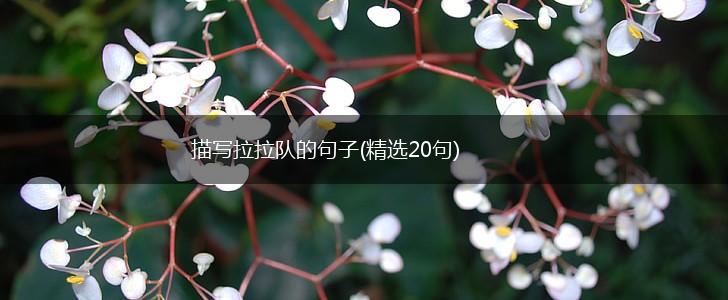 描写拉拉队的句子(精选20句),第1张 描写拉拉队的句子(精选20句),第1张