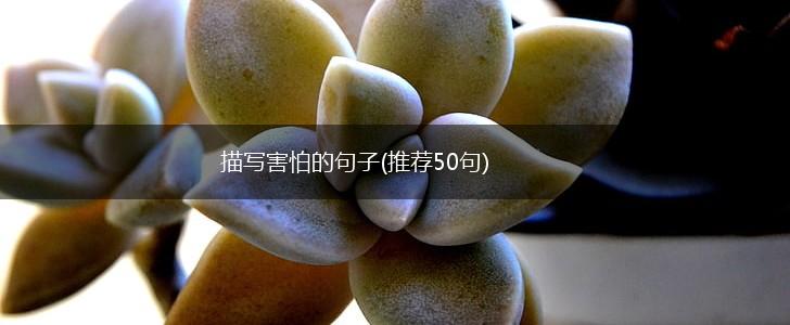 描写害怕的句子(推荐50句),第1张