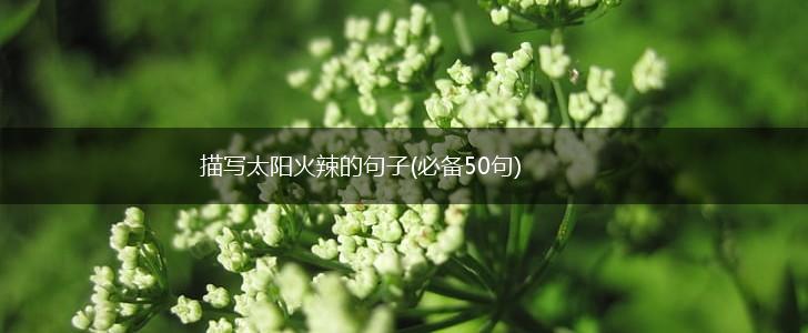 描写太阳火辣的句子(必备50句),第1张