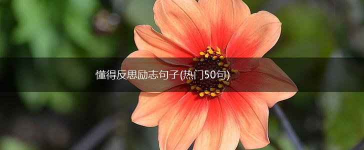 懂得反思励志句子(热门50句),第1张