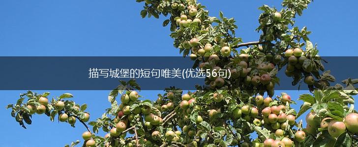 描写城堡的短句唯美(优选56句),第1张