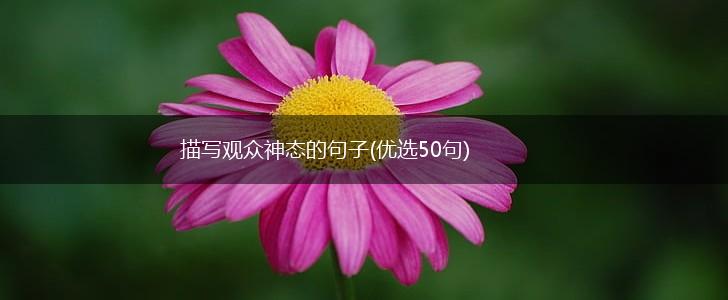 描写观众神态的句子(优选50句),第1张