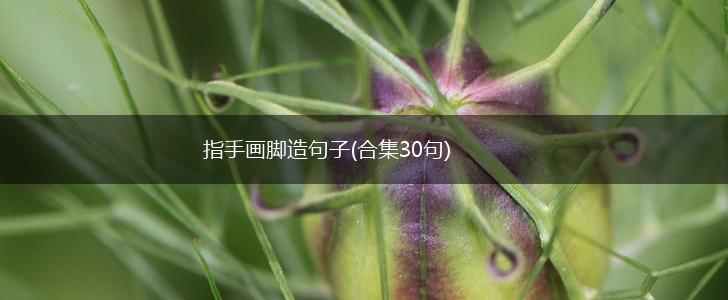 指手画脚造句子(合集30句),第1张