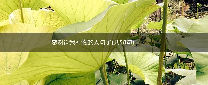 感谢送我礼物的人句子(共58句),第1张
