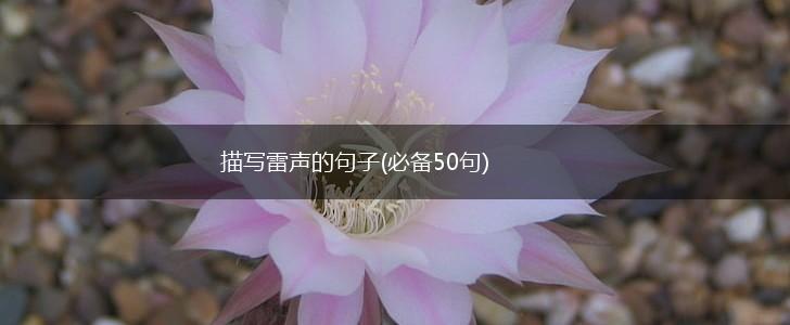 描写雷声的句子(必备50句),第1张